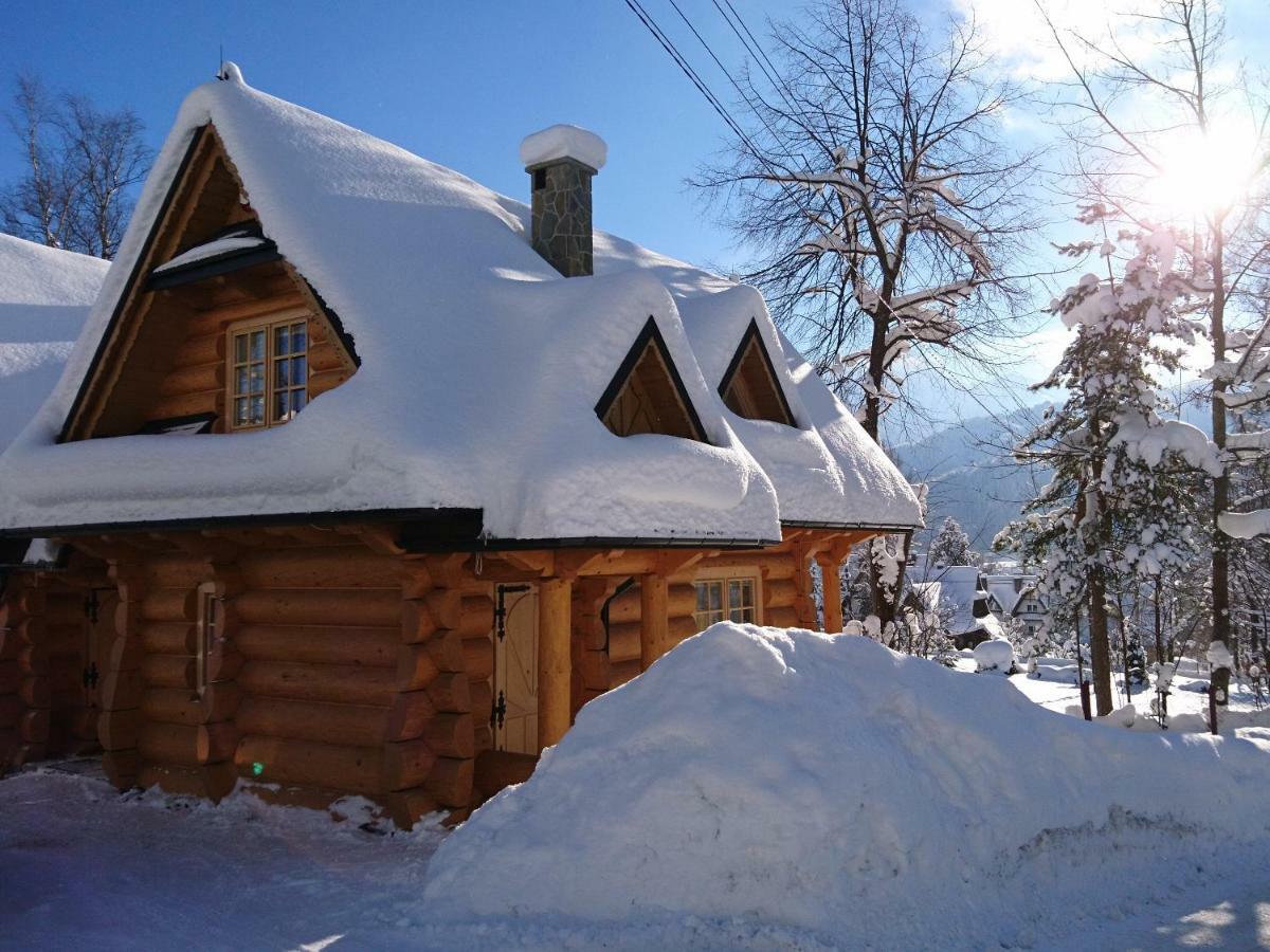 Biolo I Corno Izba Mountain Chalets Koscielisko Ngoại thất bức ảnh