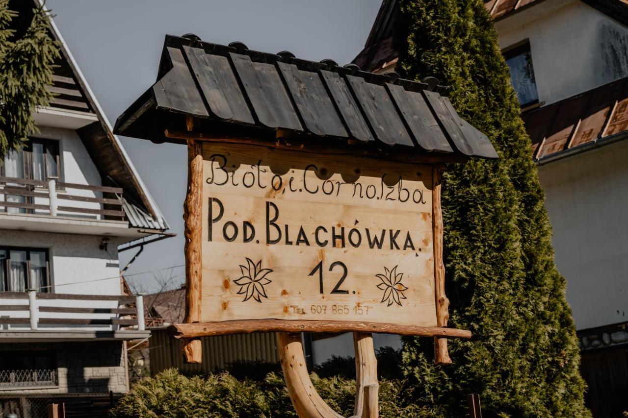 Biolo I Corno Izba Mountain Chalets Koscielisko Ngoại thất bức ảnh