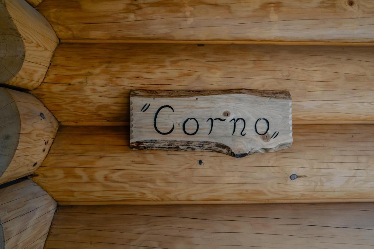 Biolo I Corno Izba Mountain Chalets Koscielisko Ngoại thất bức ảnh