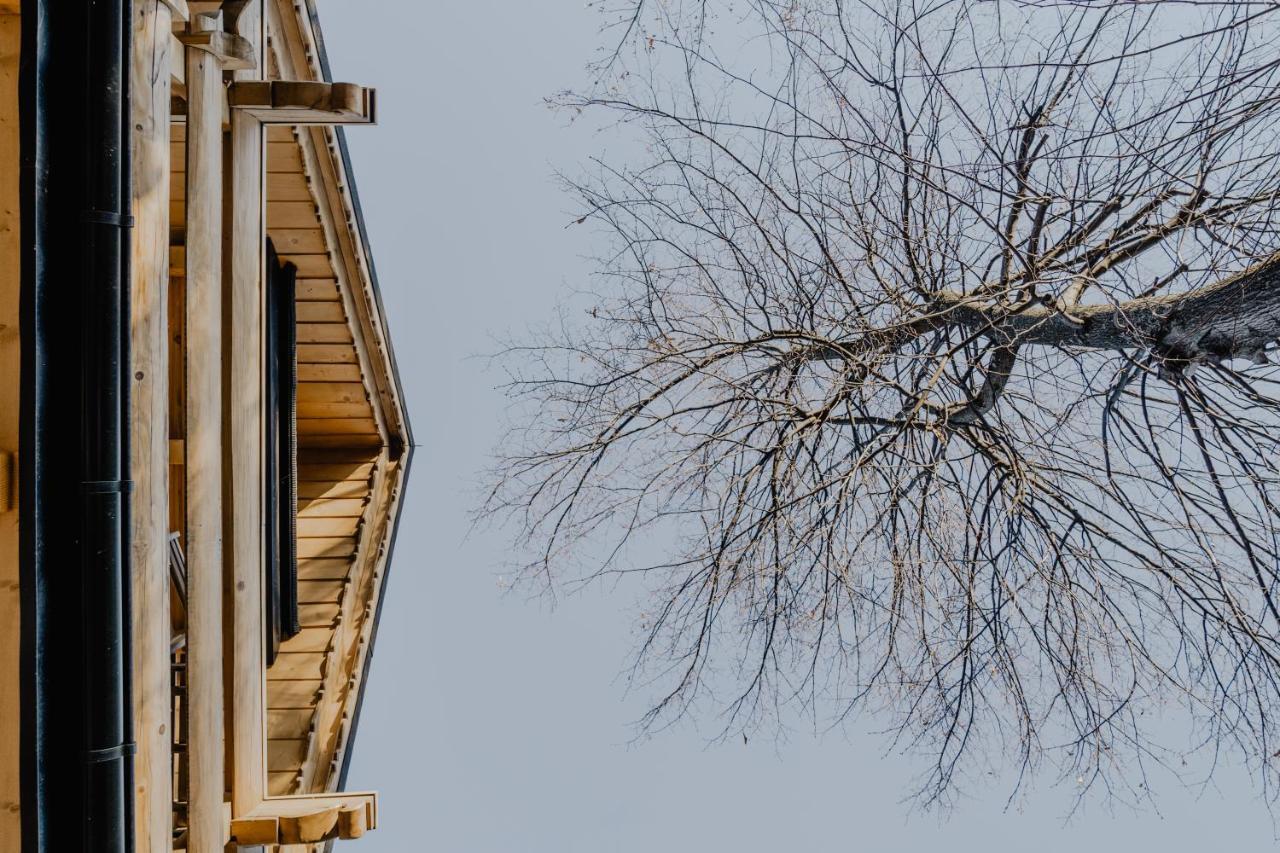 Biolo I Corno Izba Mountain Chalets Koscielisko Ngoại thất bức ảnh